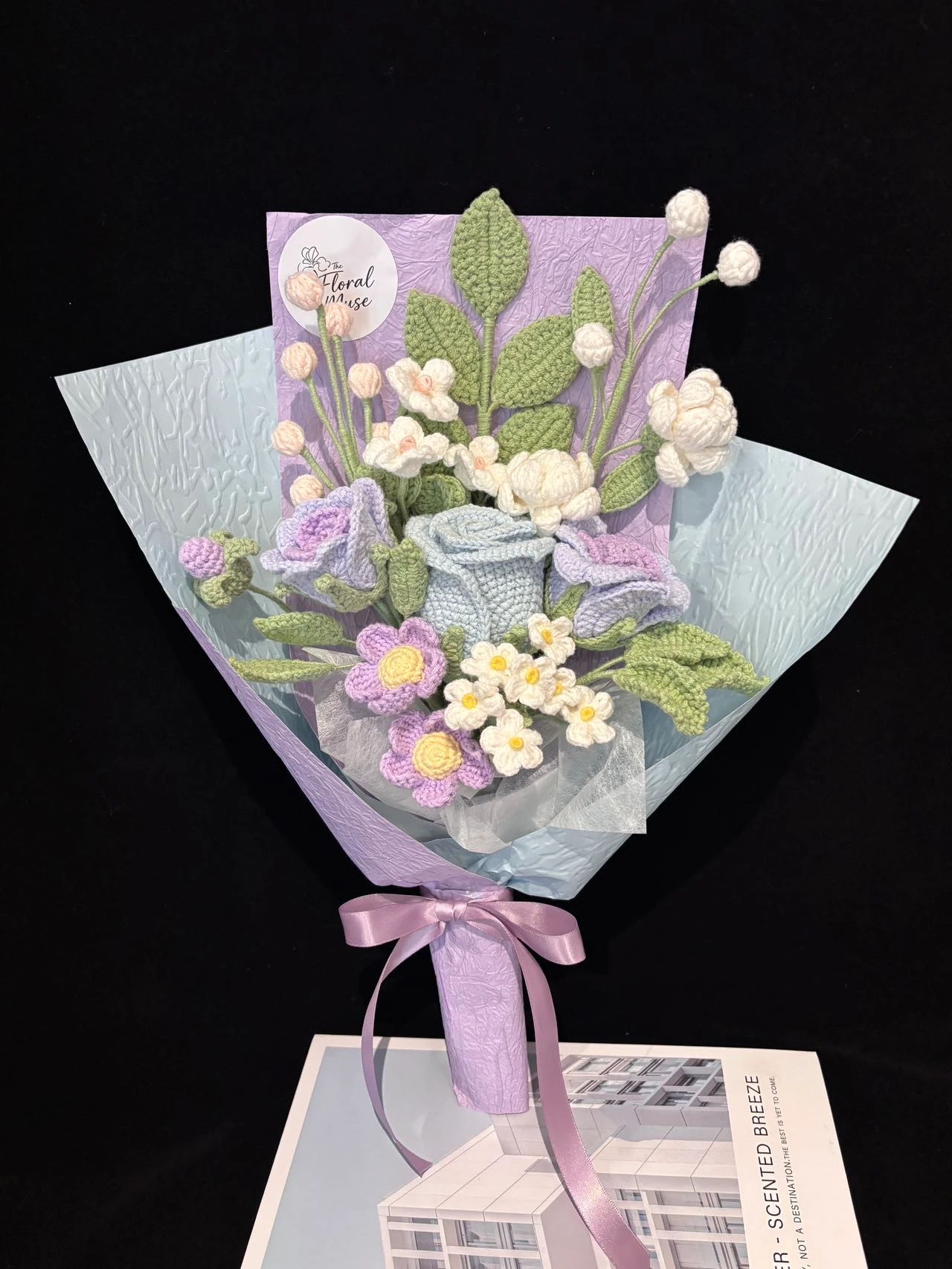 Lilac Morning Glory