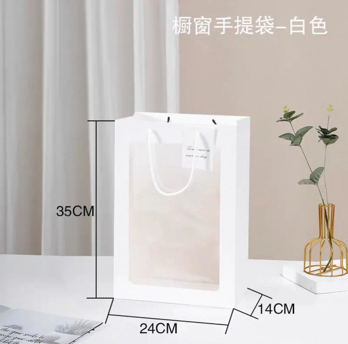 Transparent Bag